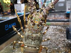 -盒马鲜生(曜一城店)