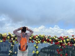 -王莽岭风景区