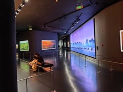 -罗红摄影艺术馆