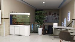 -成都军建医院·疤痕诊疗中心