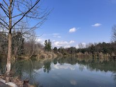 -桤木河湿地公园