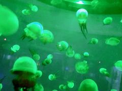 -常州海昌海洋探索馆