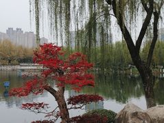 -后襄河公园