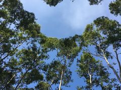 -草庵摩尼教遗址公园