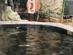 -龙达温泉生态城