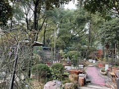 -谷咖啡·鲜花绿植花园餐厅
