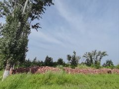-黄河花园口旅游区