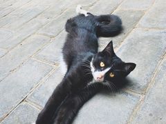 -新疆狼爷烤肉(宋庄店)