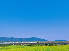 -光明小镇欢乐田园