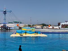 -秦皇岛乐岛海洋王国