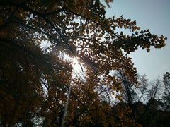 -四川大学(华西校区)