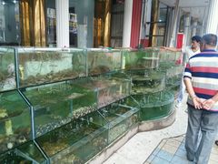 android_upload_pic-四海鲜渔家菜(黄金海岸店)