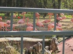 -石家庄市动物园