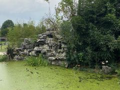 -洪湖家庭农场·团建·露营·会议