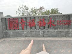-立新湖公园