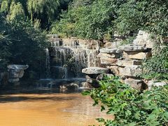 -北京西山国家森林公园