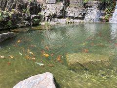 -十渡东湖港风景区