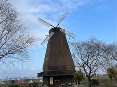 -漩门湾国家湿地公园