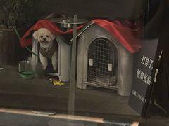 -青桃餐厅