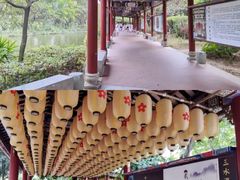 -佛山市三水温泉度假村