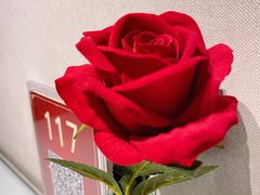 -百饺园(平山道店)