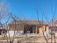 -春风习习