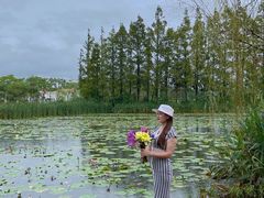 -上海长兴岛郊野公园