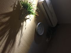 -猴满足影院足道SPA(金钟路店)