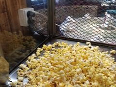 -湘当爱·鲜煮现炒(松岗立业路店)