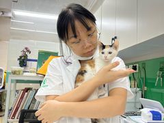 -瑞派动物医院·猫专科·至诚(江南中分院)