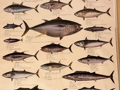 -镹·鱼料理  国产鱼使用店