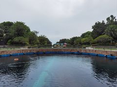 -天津湾西餐厅(三亚海棠湾洲际度假酒店)