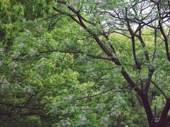 -河姆渡遗址博物馆