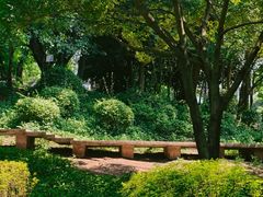 -晓港公园