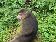 -西岭雪山大飞水景区