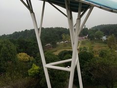 -铁山坪森林公园