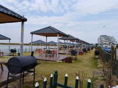 -南汇嘴观海公园