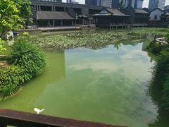 -龙潭水乡
