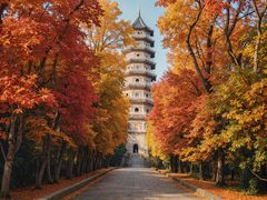 -灵谷景区