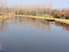 -西昌邛海湿地