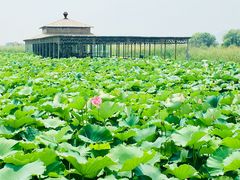 -处女泉风景名胜区