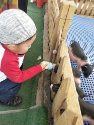 -萌宠亲子动物乐园(槐房万达店)