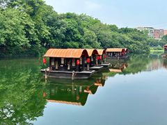 -侨美·唐荔园·40年地道粤菜