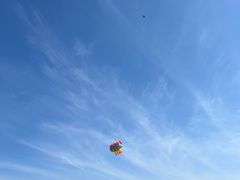 -上海滨江森林公园