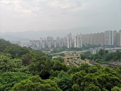 -金鸡山公园
