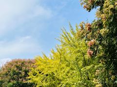 -艾溪湖湿地公园