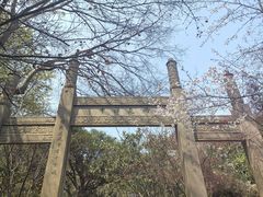 -雨花胜境