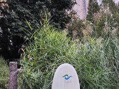 -成都市活水公园