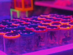 -华声天桥民俗文化园