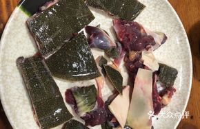 Fresh Softshell Turtle